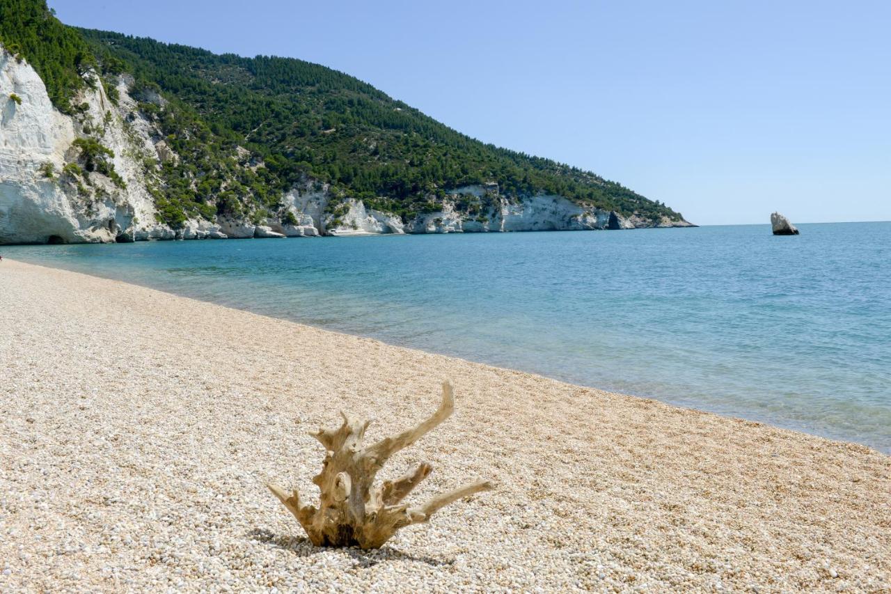 Dimora Storica Fronte Mare Con Terrazzo Privato Villa Torre Canne Ngoại thất bức ảnh